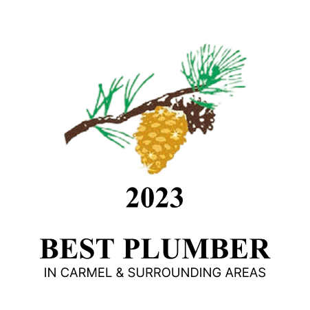 2023 best plumber golden pinecone award logo